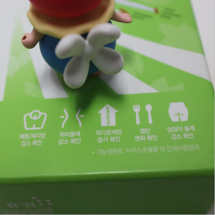  시서스효능 알면 백전백승!