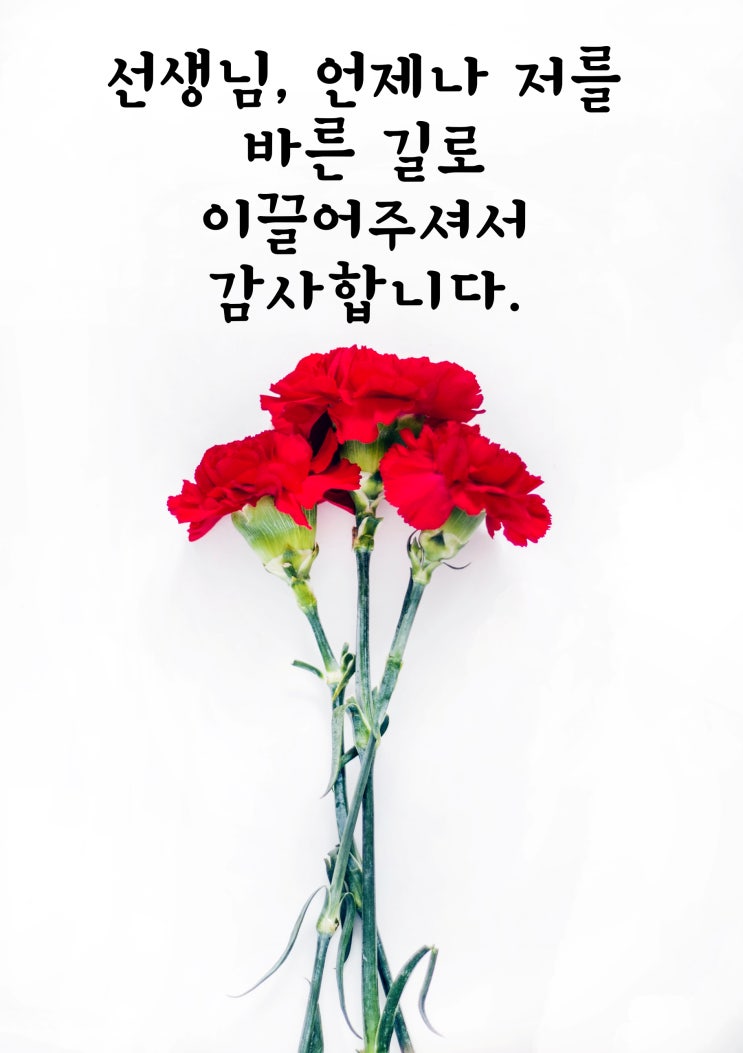  스승의 날 감동 감사 문구&카드