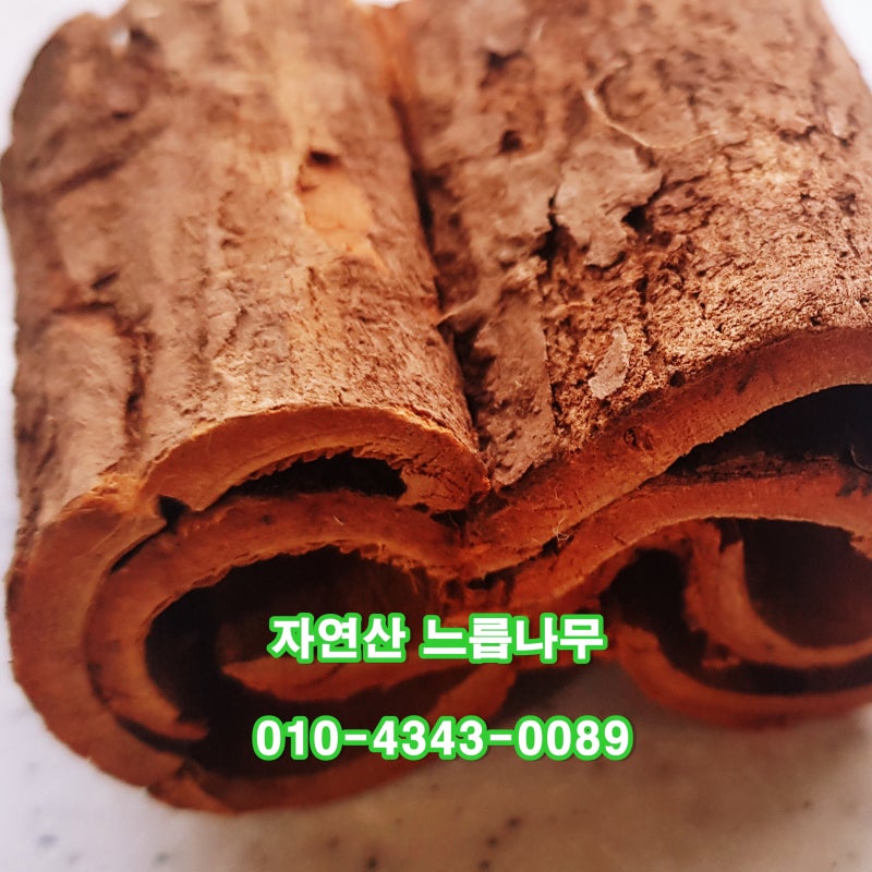 유근피의 효능을 알고 느릅나무 껍질 유근피차를 드세요. - 콧나무 파는 곳의 가격 3