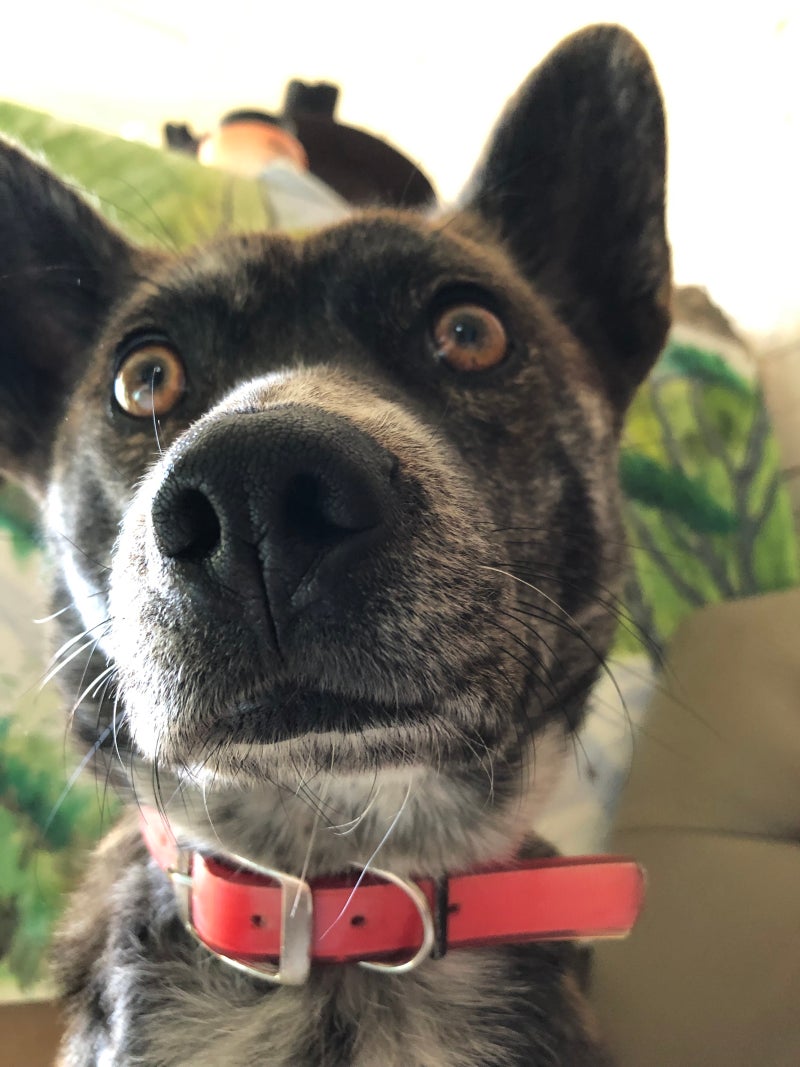 멍청한 판타지 모음집 1 ~ 300 - 조아라 : 스토리 본능을 깨우다, image size:800x1067