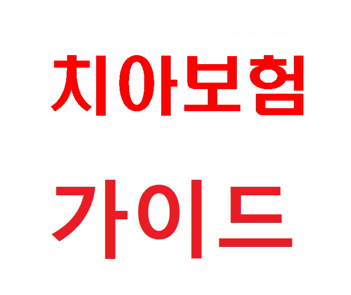  라이나치아보험 빠른대처