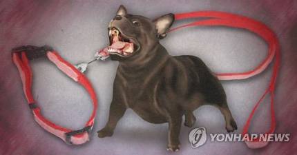 목줄 없는 개에 자전거 '꽈당' 장애..견주 6천111만원 물어줘라 목줄 없는 개에 자전거 '꽈당' 장애..견주 6천111만원 물어줘라