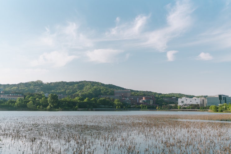  당일치기 천안 나들이  (단대호수 - 카페 지로스터 - 병천순대)