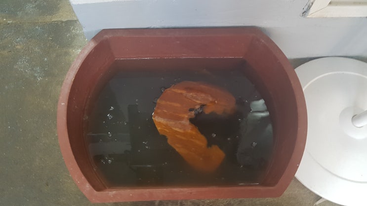  [홍성맛집][광천맛집] 광천시장 구경도 하고 광천원조어죽도 후루룩 먹고~