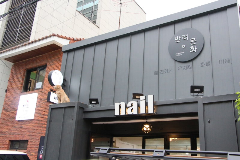 사진 7