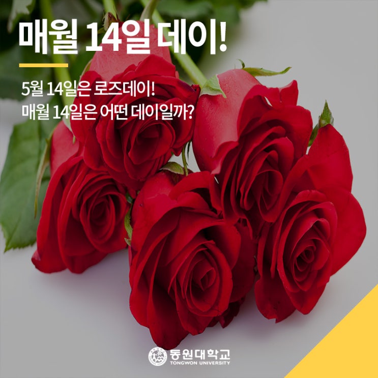  5월 14일은 로즈데이! 매월 14일은 어떤 데이일까?