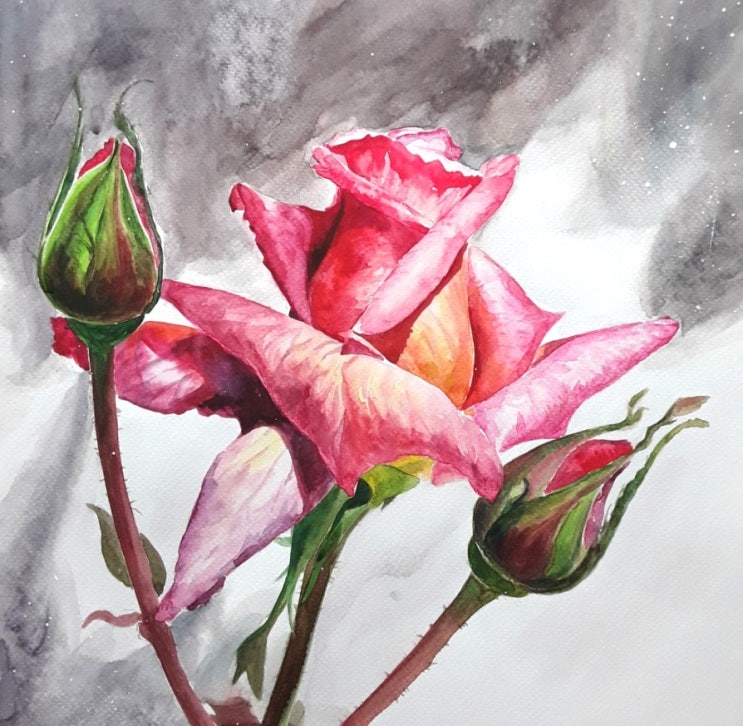  로즈데이 Rose Day, 빨간 장미를 그대에게 드립니다.