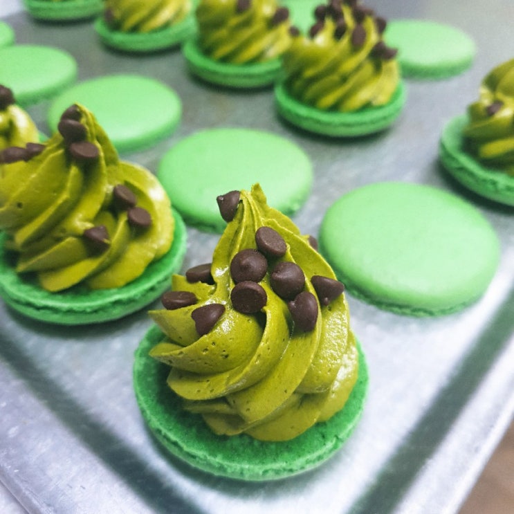  5월 14일 사랑스롱 라인업