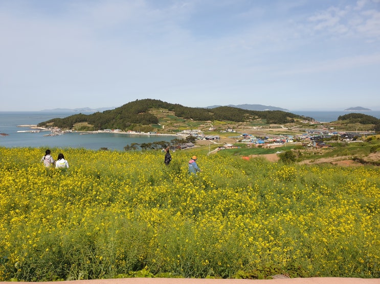  완도 1박 청산도 여행 코스 예뻤다