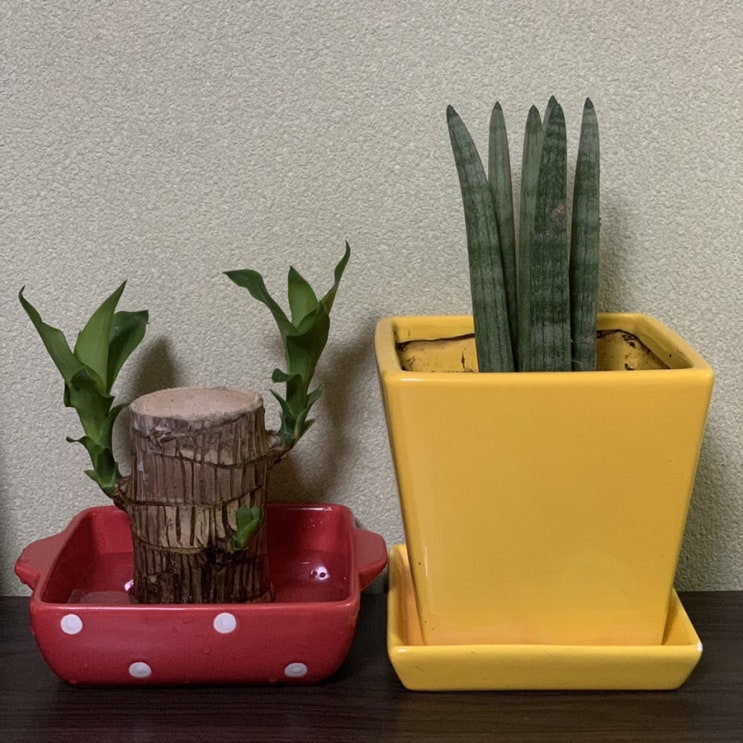  일상기록