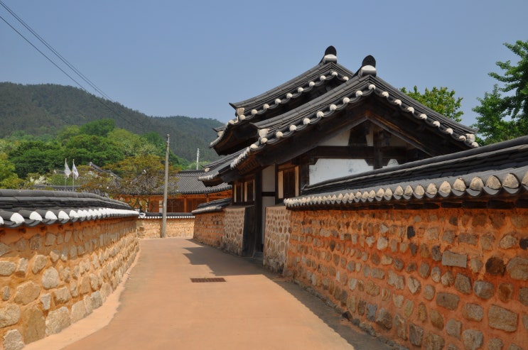  깊은 봄을 담은 함라마을의 돌담길