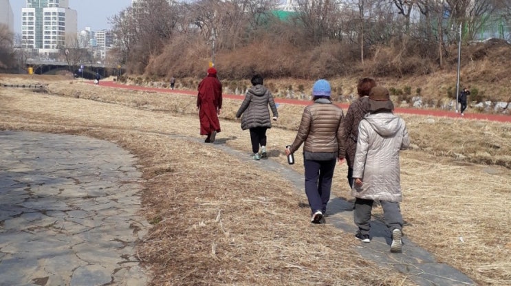  법승담마야나선원 2박3일 남해용문사 템플스테이