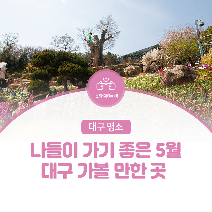  나들이 가기 좋은 5월, 대구 가볼 만한 곳 :: 디아크, 두류공원, 수성못, 봉무공원, 네이처파크, 대구숲, 이월드