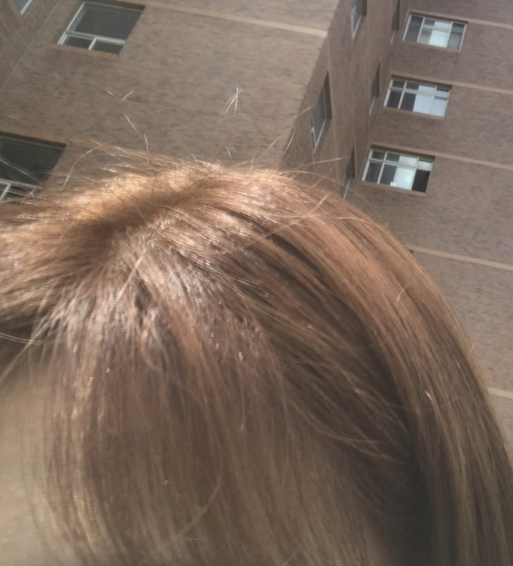  프레쉬라이트 바닐라베이지 셀프염색 후기...