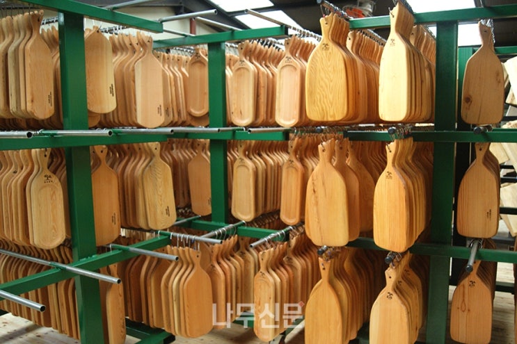  지금까지 이런 극한직업은 없었다                “이것은 직업인가 예술인가”