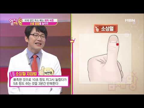 대중적인 독소배출 ◁ 착각은 자유