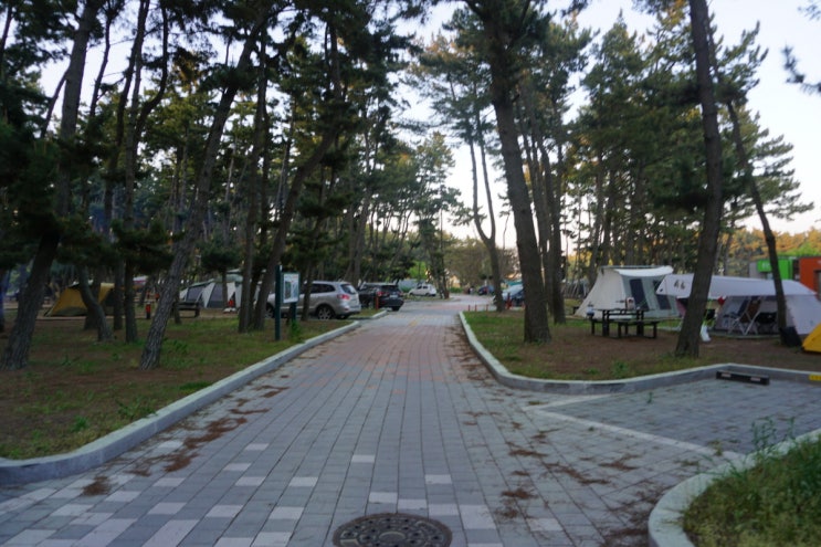 [19.05.11~12]몽산포 자동차 야영장(국립공원야영장)