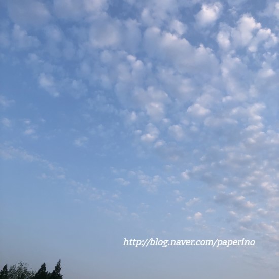  2019, 05, 14 화요일의 식단일기 - 자연식물식단 시도중 