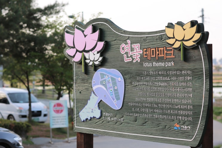 관곡지 (시흥)에서 선생 김봉두 OST 자전거탄 풍경 보물을 떠올려봅니다.