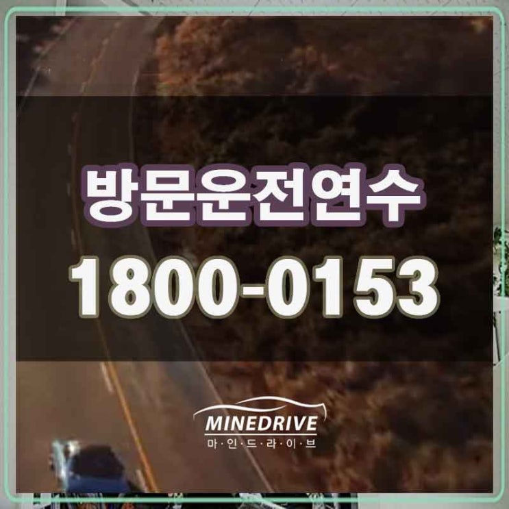  고양 일산동구 백석동 사리현동 운전연수
