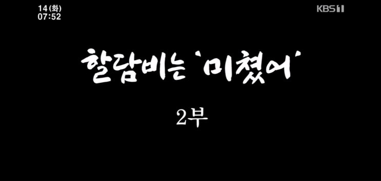  인간극장 할담비 미쳤어 지병수 할아버지 2편