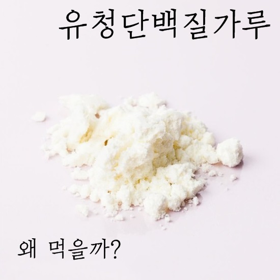 유청단백질가루 왜 그렇게들 고민하는지