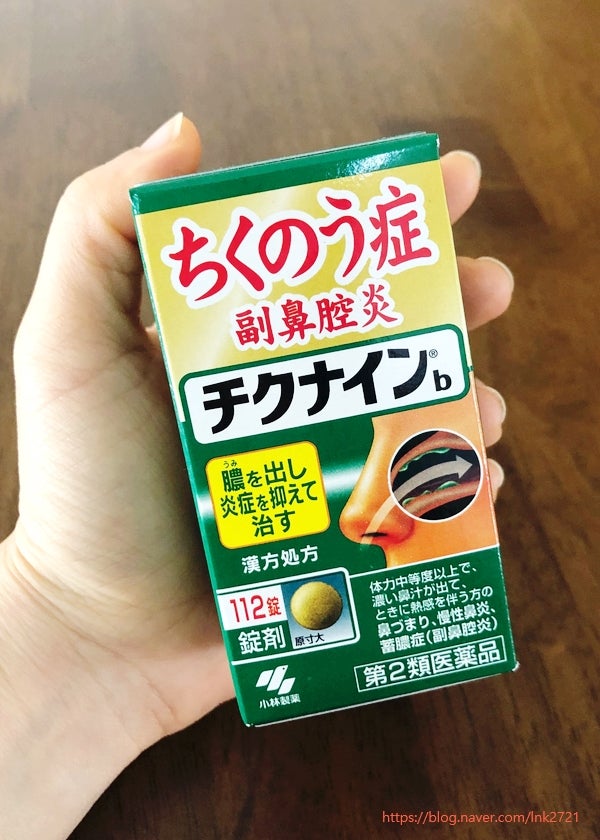 일본 비염약/축농증약 치쿠나인(チクナイン)