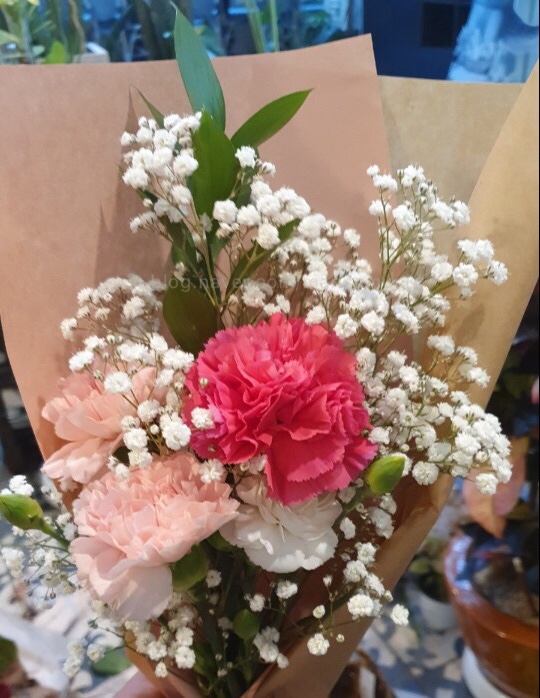  스승의날 선물 해도될까요? 카네이션 손편지 초등학교