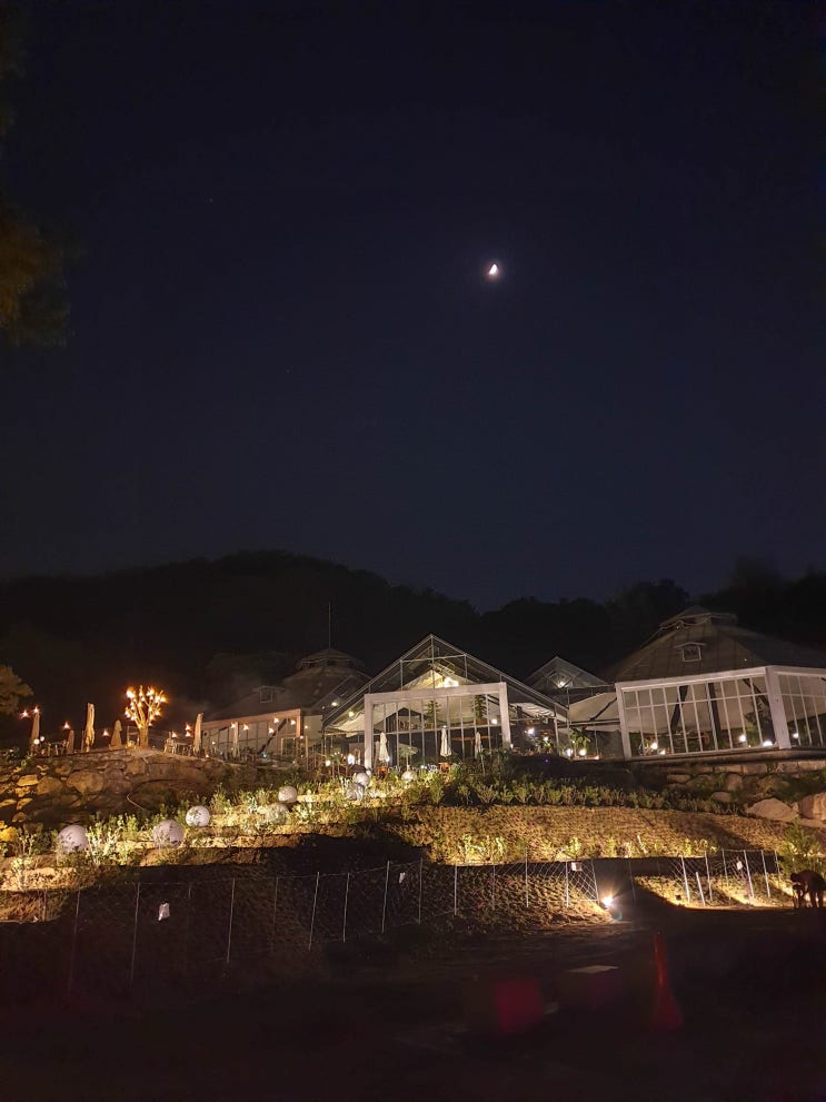 [남양주 이색 카페] 데이트하기 좋은 식물원 카페 비루개