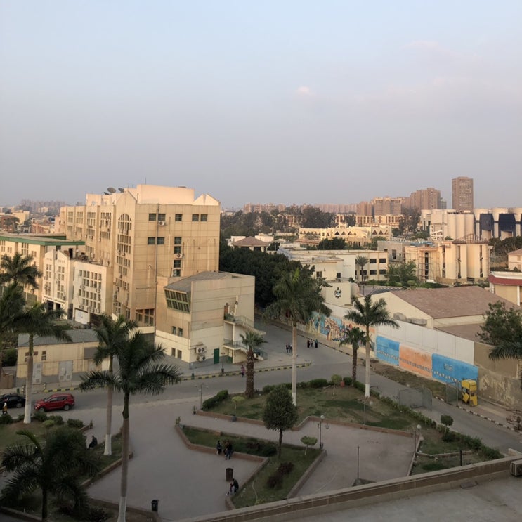  Cairo; 아인샴스 대학교 리뷰 (Ain Shams University, جامعة عين شمس)