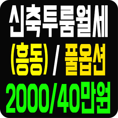  김해투룸 흥동에서 찾자 신축 인테리어 멋진 투룸