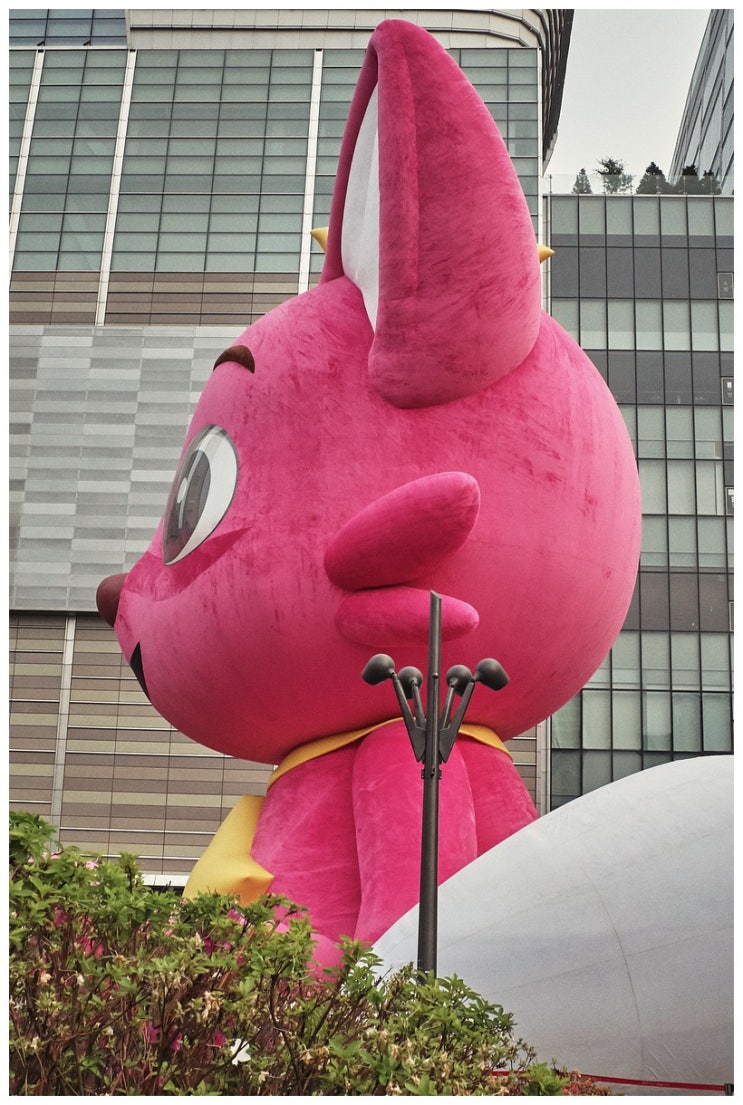  핑크퐁 (gr3)