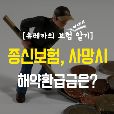  종신보험, 사망 시 해지환급금은?