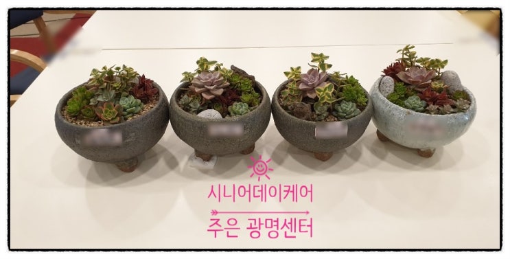  〔광명노인주간보호센터〕시니어데이케어주은광명센터/사회적응훈련/원예활동/다육이심기