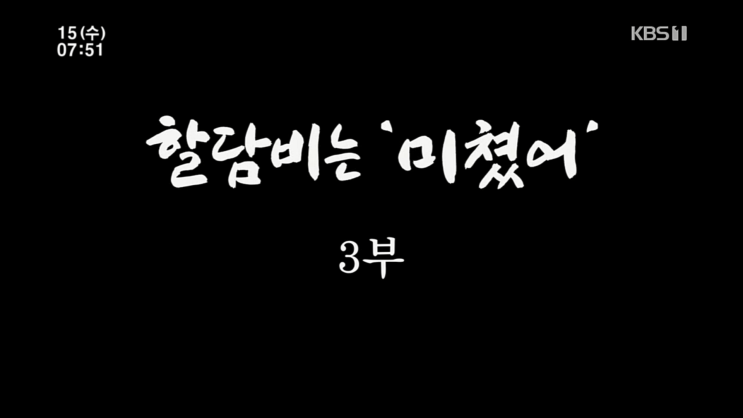  인간극장 할담비 미쳤어 지병수 할아버지 3편