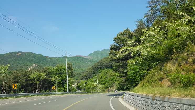  황매산 철쭉축제