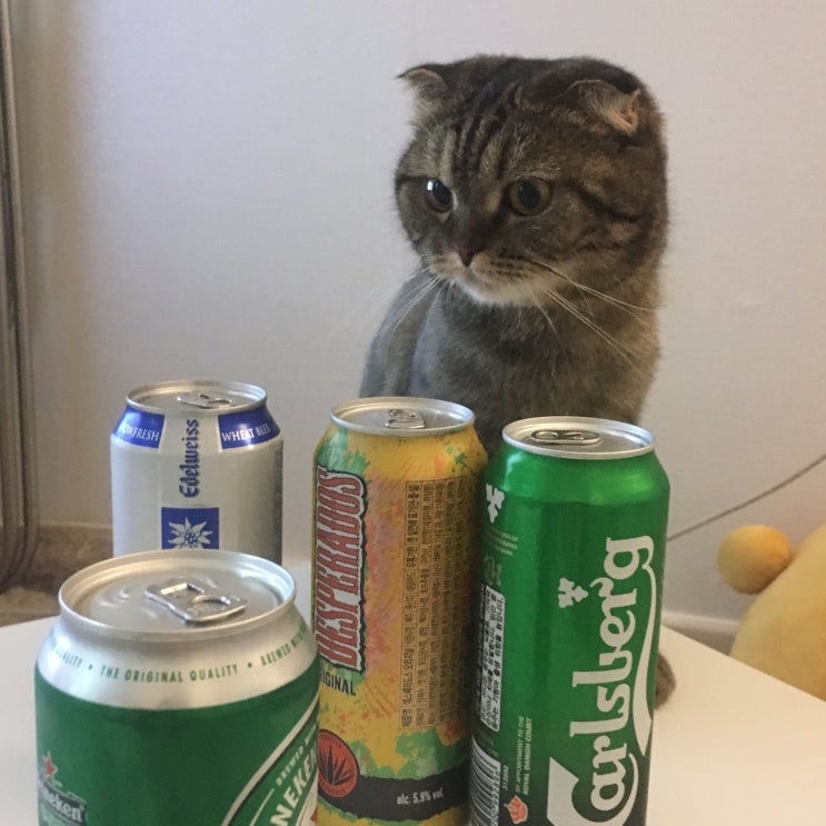  아무일상대단치