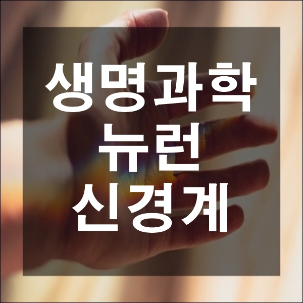  고등과학 뉴런의 특징 구조 종류 생명 과학 탐구 신경계