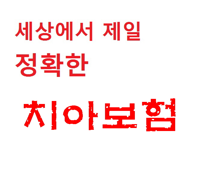 메리츠치아보험 점검하기