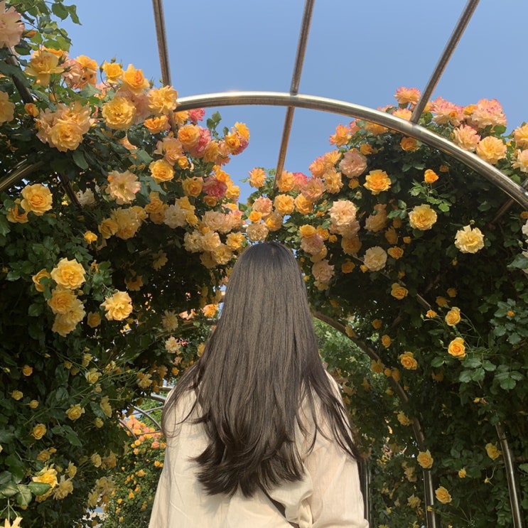  [2019.05] 오로지 은두만을 위한 포항나들이