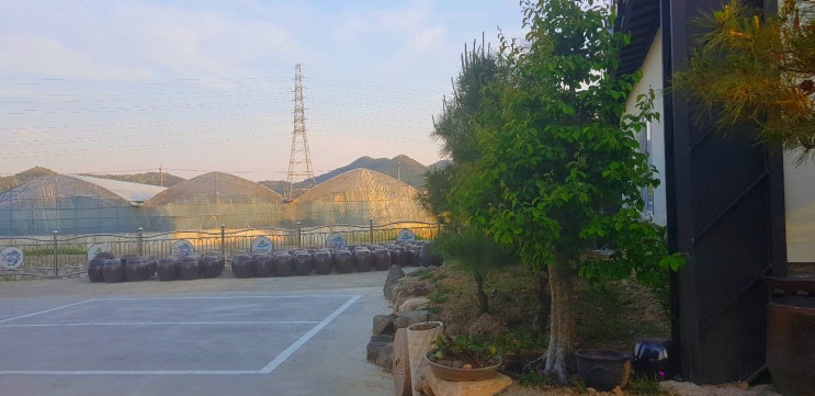  건강한 중화요리가 왔다 ! 밀양 맛집 효와당