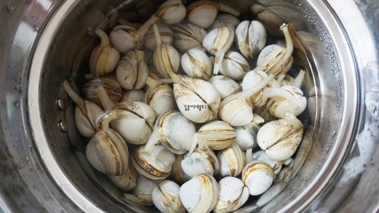  갯벌에서 잡은 동죽조개 해감부터 보관까지(+칼국수 만들기)