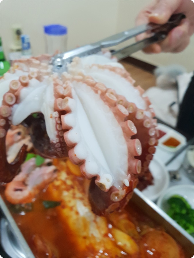  제주 기원뚝배기 옥돔구이 넘나 맛있는 맛집이 랍니당~