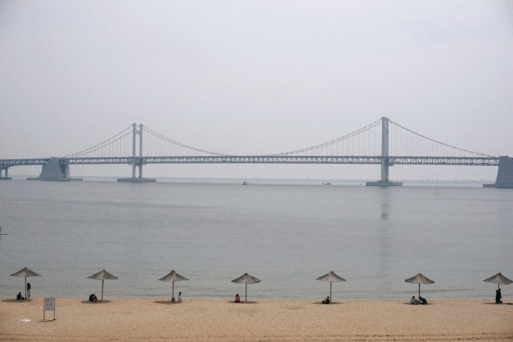  광안리 바다가 한눈에 보이는 부산/광안리 카페 '로즈랜드'