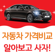  장기자동차렌트 선택 가능하실까요?