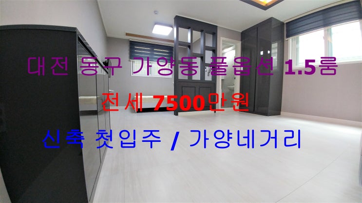 (대전 동구 가양동) 신축첫입주!전세가능한 풀옵션 1.5룸이에요 ~ ^^