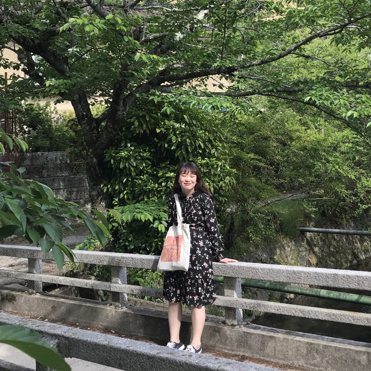  일본 오사카 & 교토 3박 4일 여행 DAY3 / 교토 버스 1일권 뽕뽑기