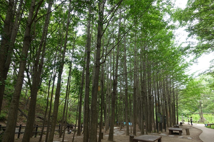  스트레스 가슴통증 호흡곤란 두통과 자주 체할때 몸의 변화에 대한 설명