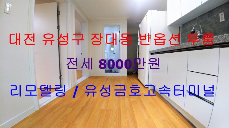  (대전 유성구 장대동) 옵션있는 투룸 전세에요 ~ ^^