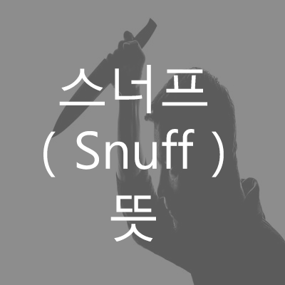  스너프(snuff) 뜻 // (Feat. 버닝썬)